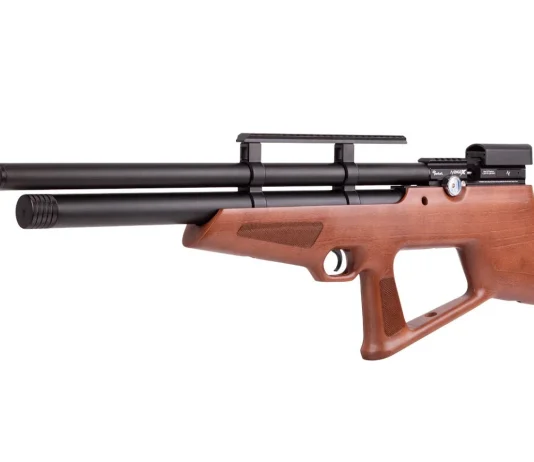 Understanding PCP Air Rifles: A Guide for New Shooters PCP air rifle showing compressed-air reservoir and basic components Important content change